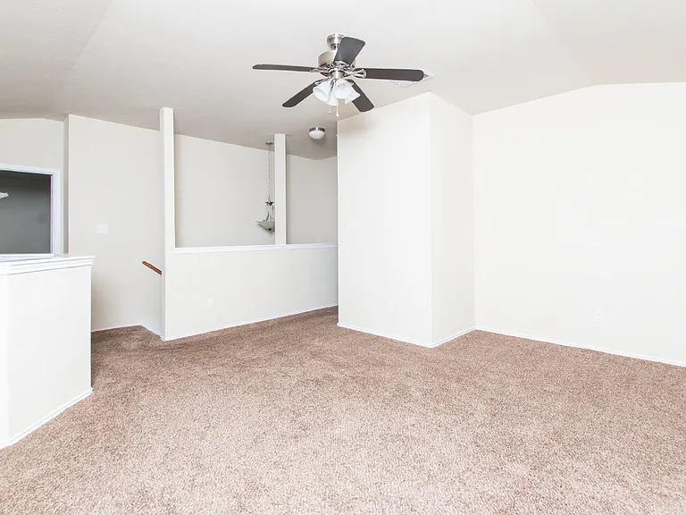 3007 Black Orchid Dr — Photo 20
