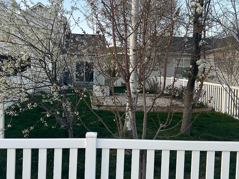 1874 E Cedar St — Photo 10