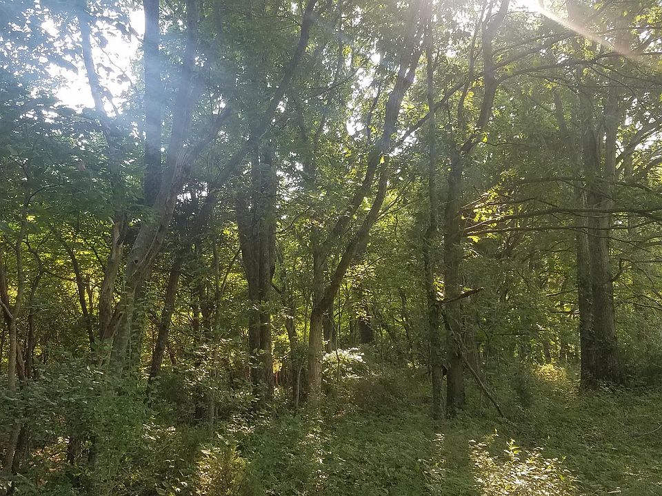 2nd image of 4 Cairo Bend Rd #4