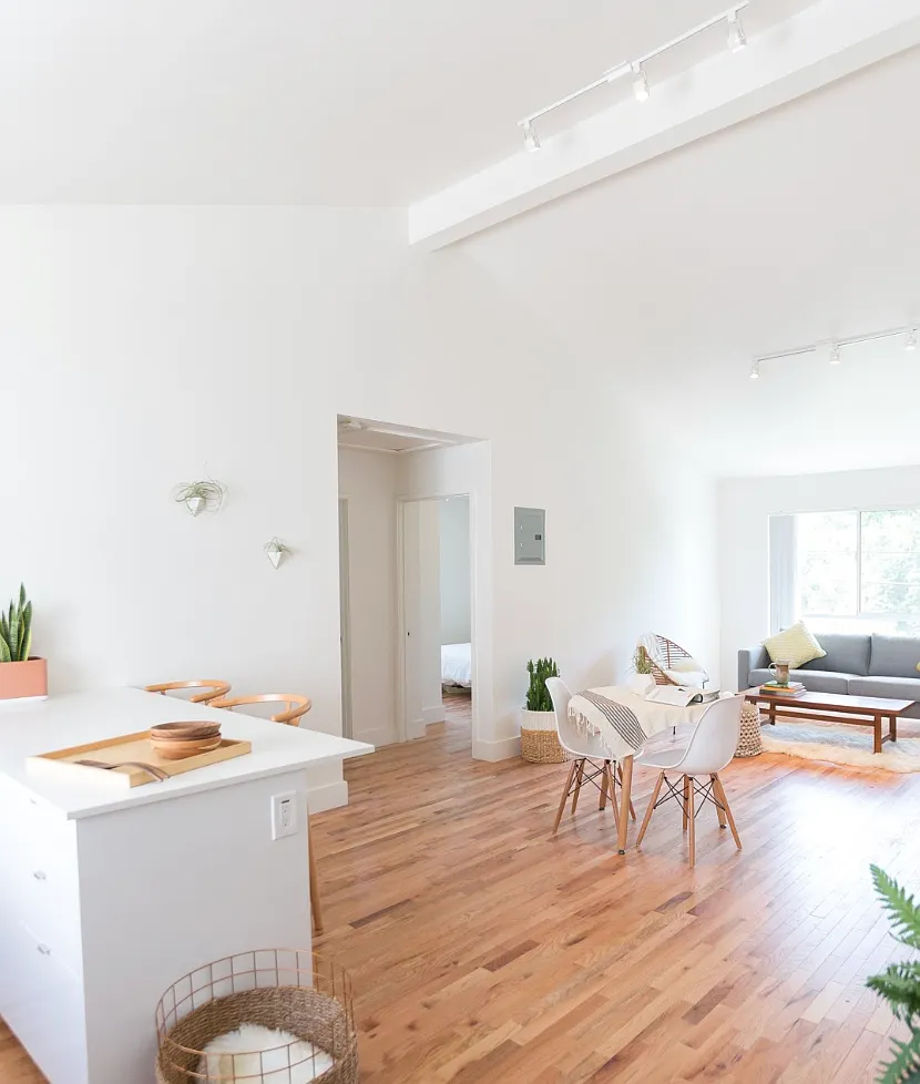 2 bed, 800 sqft, $3,500 — Photo 3