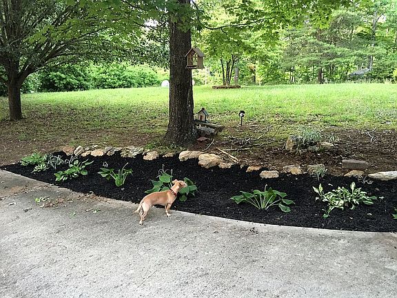 Mulch and flowers /driveway