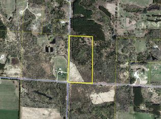 8113 Chief Rd, Bear Lake, MI 49614