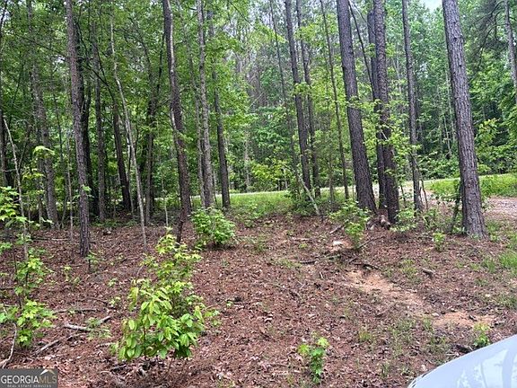 3rd image of TRACT One 343 County Rd #892