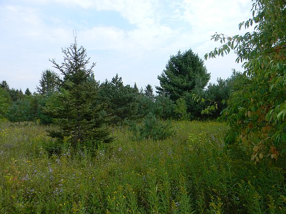 5th image of 33157 Paavola Road