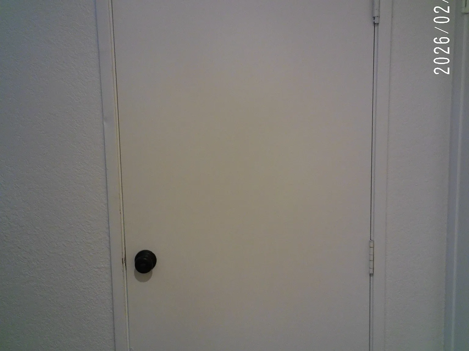 2 bed, 863 sqft, $2,400 — Photo 3