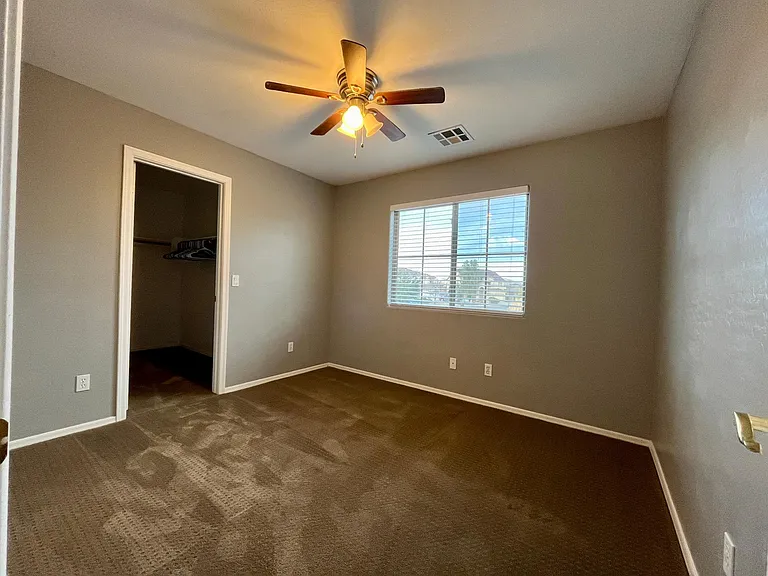 29589 N Little Leaf Dr — Photo 17