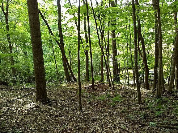 3rd image of 9 Laurel Dr