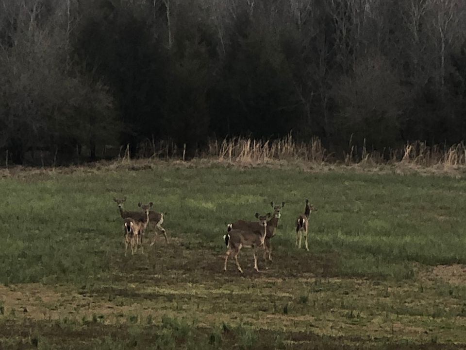 1st image of 15920 County Road 612