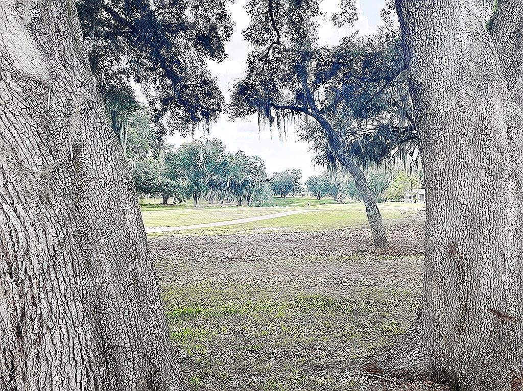 1716 E Schwartz Blvd