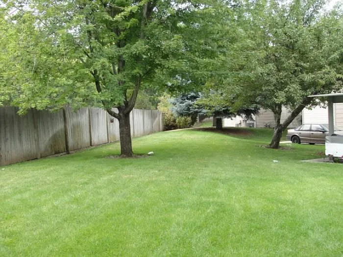 Yard