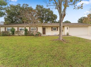 816 Blackberry Ln, Brandon, FL 33511