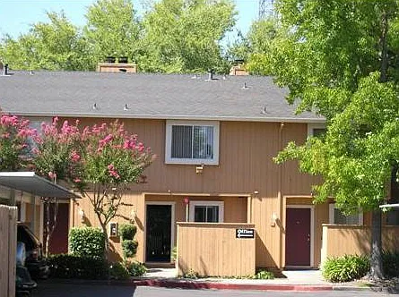 Arden Bell — Photo 3