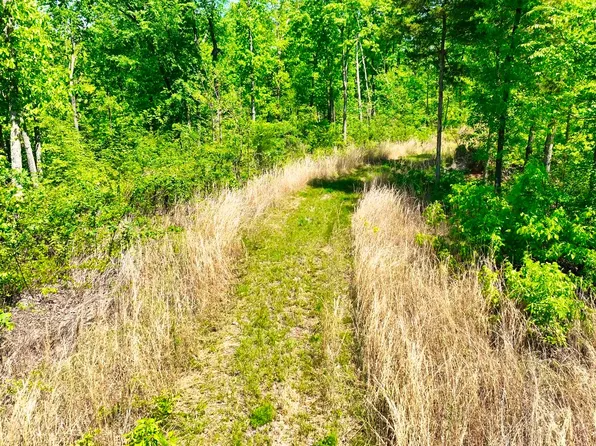 0 Sewell Branch Rd Lot 2A, Clifton, TN 38425