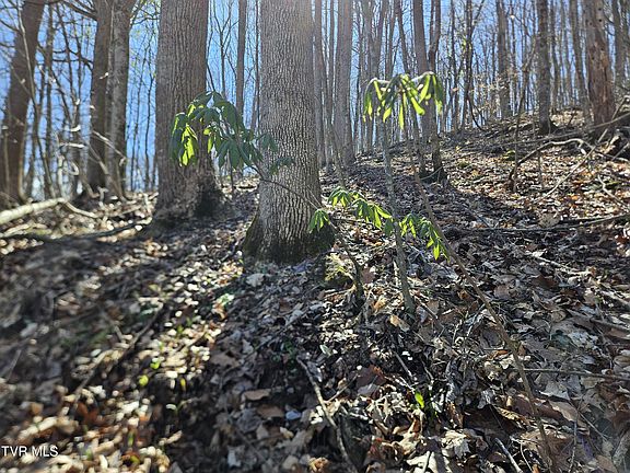 4th image of 0 Shuler Hollow Rd