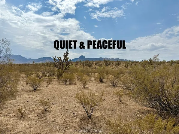 319-08-429 Kingman Drive, Dolan Springs, AZ 86441