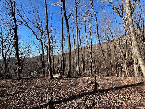 3rd image of 0 Sassafras Mountain Trl