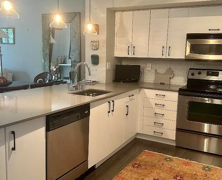 250 NE 3rd Ave #1515 — Photo 4