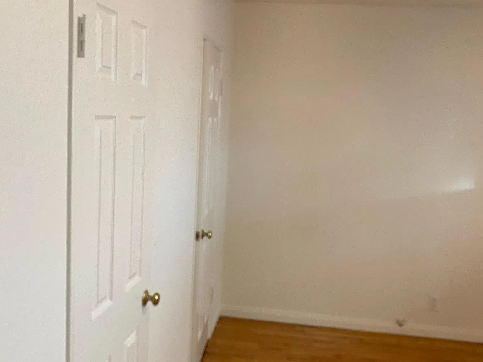 1 bed, 650 sqft, $1,895 — Photo 4