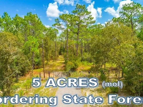 26169 Ash St #236, Brooksville, FL 34601