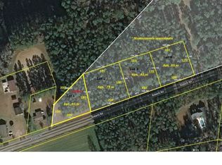 Roberts Rd LOT 4, Galivants Ferry, SC 29544