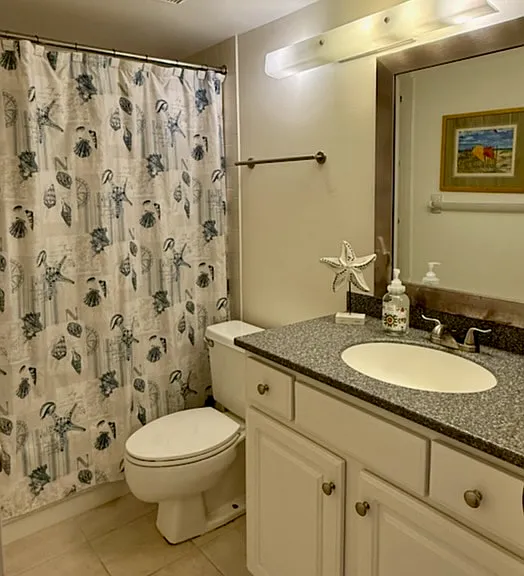 guest/hall bathroom