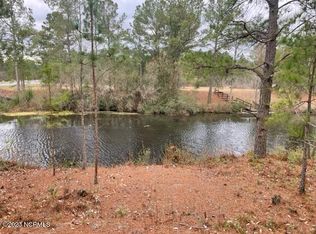 216 Spring Branch Dr, Harrells, NC 28444