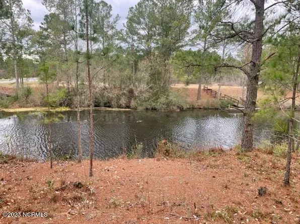 216 Spring Branch Drive, Harrells, NC 28444