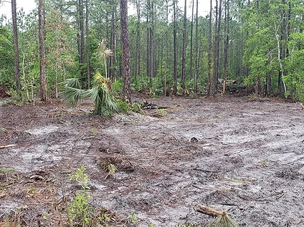 2376 Elder St, Bunnell, FL 32110