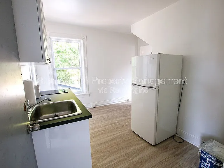 195 Albert St #3 — Photo 4
