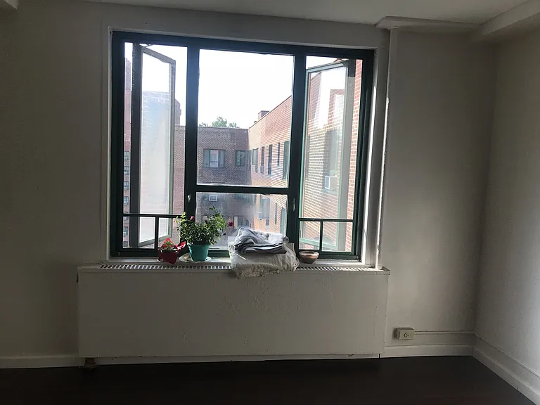 Living Room Window
