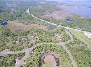 48 Frogs Beckon Ct, Panacea, FL 32346