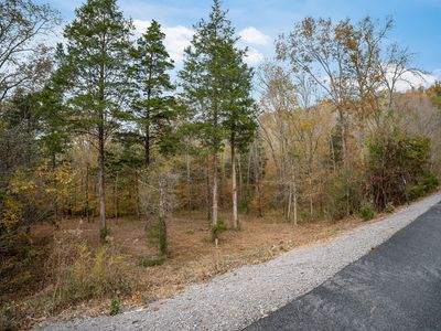 0 Shoreside Dr LOT 22, Smithville, TN, 37166