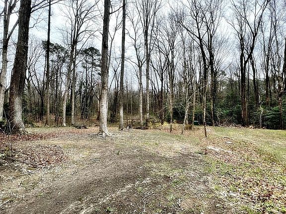 4th image of 3301 Summerbrooke Dr