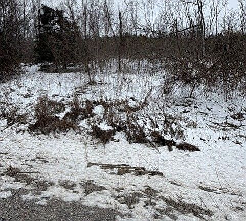 4th image of LOT 4 Lakefield Rd