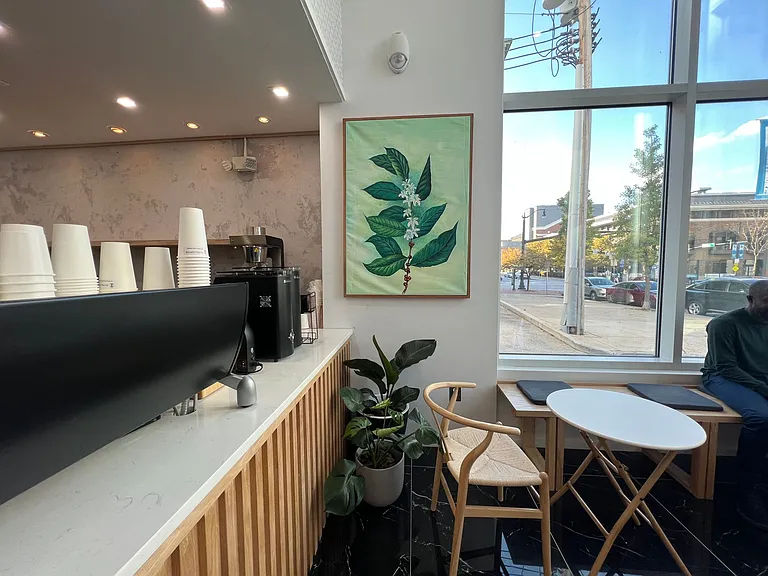 9 E. Mount Royal — Photo 12