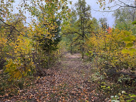 2nd image of 51315 Sand Creek Rd