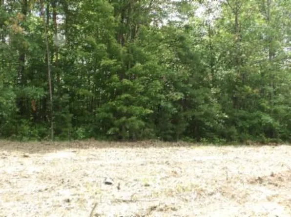 LOT 222 Hilltop Ln, Wilder, TN 38589