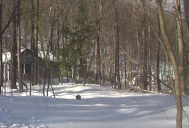 1st image of 30 Lakeshore Dr NW