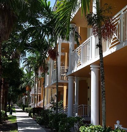 Screen Shot 2017-08-18 at 11.57.23 AM