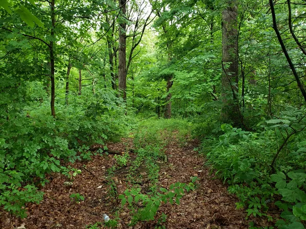 5705 W Pauling Rd, Monee, IL 60449