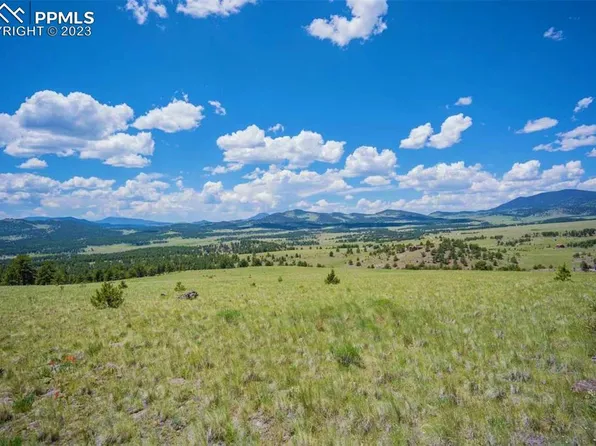 1746 Castle Mountain Pass, Guffey, CO 80820