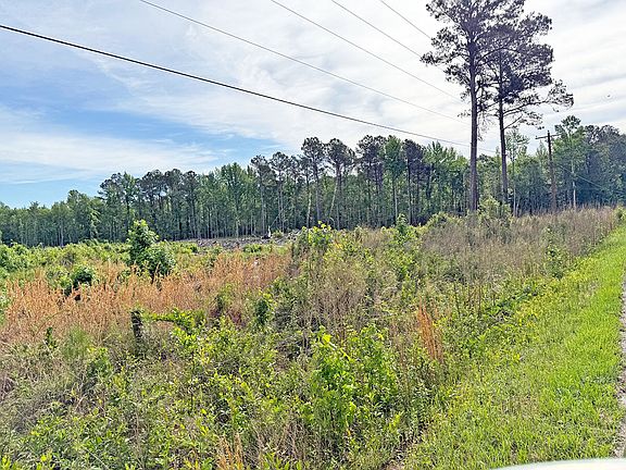 2nd image of 0 McCalls Mill Pond Rd