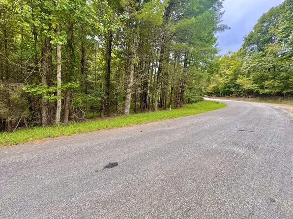 Tbd Delps Beach Ln, Fries, VA 24330