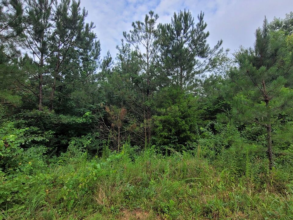 The flat topography near the center of the property may make a good site for a house or a cabin.