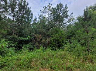 TRACT 22 0 York St, Brilliant, AL 35548