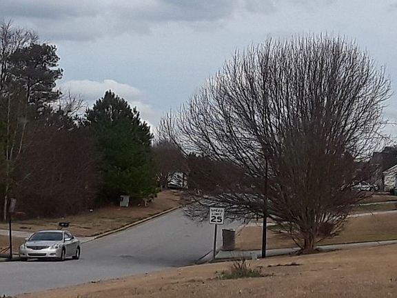 4th image of 1504 Rogers Crossing Dr