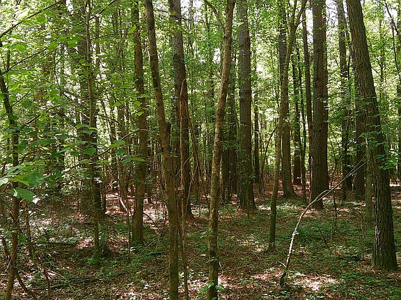 5th image of Pleasant Hills Rd