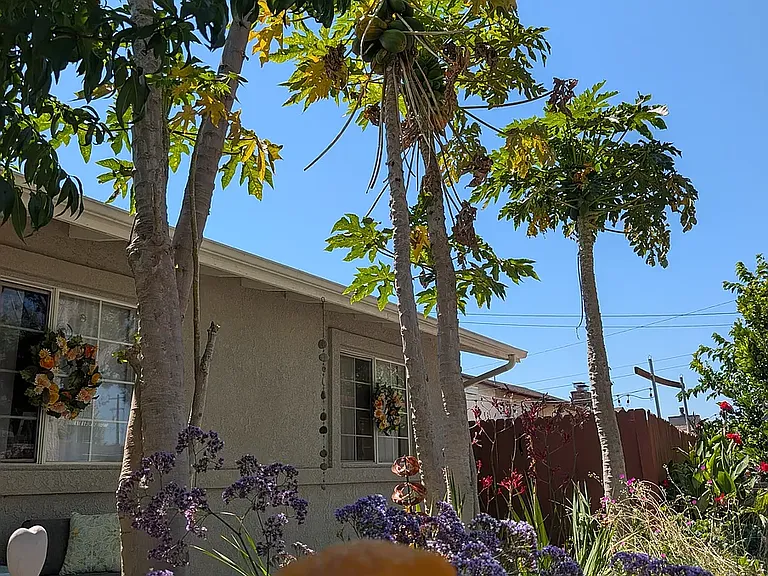 2336 W Orange Dr N — Photo 61