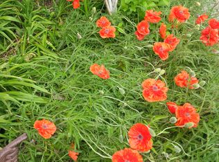 10112 Buck Brush Rd, Cheyenne, WY 82009