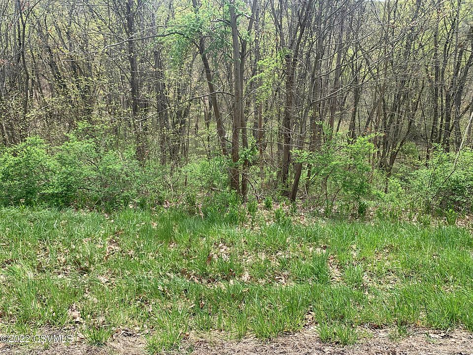 2nd image of River Rd